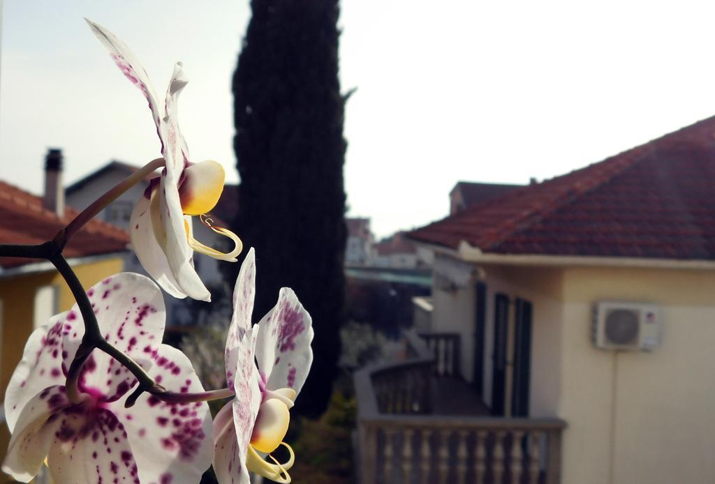 Luciana Apartment Zadar Bagian luar foto