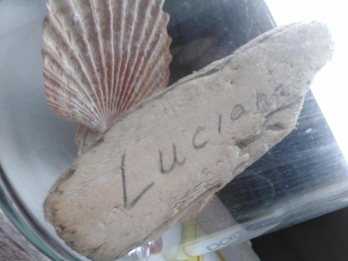 Luciana Apartment Zadar Bagian luar foto