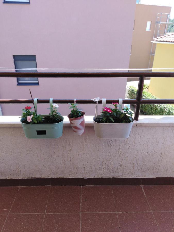 Luciana Apartment Zadar Bagian luar foto